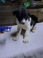 /album/246/639815002-2670696069983231-7057370115600217715-n-1-jpg/